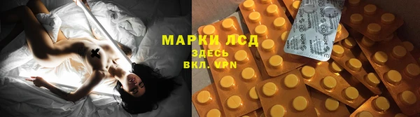 ECSTASY Богородицк