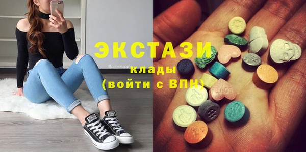 ECSTASY Богородицк